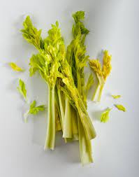 بیماری‌های عامل زرد شدن کرفس